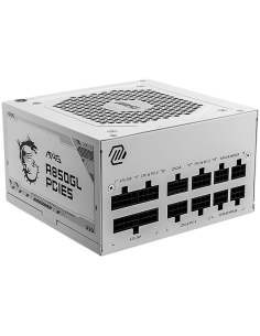 MSI MAG A850GL PCIE5 2